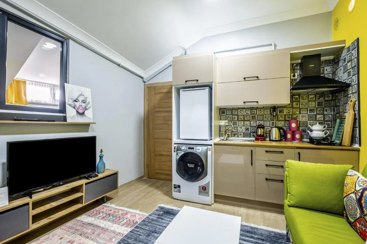 Centrally Located Flat With Balcony In Uskudar Istanbul 0*,  Türkei